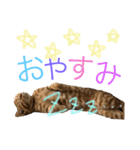 でんスタンプ（個別スタンプ：5）