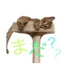 でんスタンプ（個別スタンプ：15）