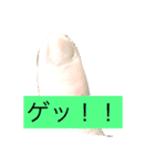 私の足はあなたの心です。（個別スタンプ：5）