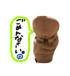 タマスタンプ だよ（個別スタンプ：2）