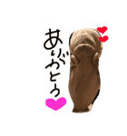 タマスタンプ だよ（個別スタンプ：4）