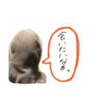 タマスタンプ だよ（個別スタンプ：10）