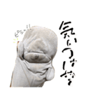 タマスタンプ だよ（個別スタンプ：13）