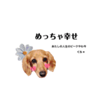 毎日使える リアル犬スタンプ（個別スタンプ：22）