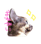 しま ちゃと（個別スタンプ：9）