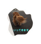 かわいいダックス使える日常会話2（個別スタンプ：2）