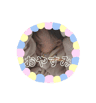 ゆいかちゃんstamp（個別スタンプ：6）