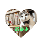 コジロウにゃー（個別スタンプ：1）