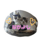 小林家スタンプʕ•ᴥ•ʔ（個別スタンプ：14）