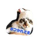 小林家スタンプʕ•ᴥ•ʔ（個別スタンプ：20）