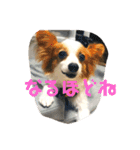 小林家スタンプʕ•ᴥ•ʔ（個別スタンプ：25）