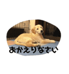小林家スタンプʕ•ᴥ•ʔ（個別スタンプ：27）