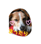 小林家スタンプʕ•ᴥ•ʔ（個別スタンプ：29）