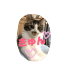 小林家スタンプʕ•ᴥ•ʔ（個別スタンプ：30）