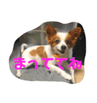 小林家スタンプʕ•ᴥ•ʔ（個別スタンプ：35）