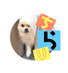 ポメプー【関西風】（個別スタンプ：6）