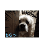 アメコカアリスとベビ凜ちゃん（個別スタンプ：9）