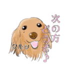 あにまる整体師ロビン君（個別スタンプ：8）