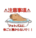 あにまる整体師ロビン君（個別スタンプ：10）