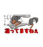 あにまる整体師ロビン君（個別スタンプ：14）