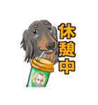 あにまる整体師ロビン君（個別スタンプ：16）