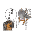 あにまる整体師ロビン君（個別スタンプ：17）