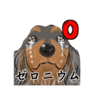 あにまる整体師ロビン君（個別スタンプ：23）