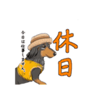 あにまる整体師ロビン君（個別スタンプ：24）
