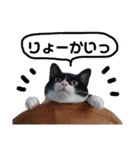 びっけ（個別スタンプ：1）