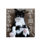 びっけ（個別スタンプ：3）