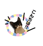 びっけ（個別スタンプ：8）