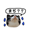 びっけ（個別スタンプ：14）