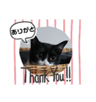 びっけ（個別スタンプ：17）
