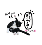 びっけ（個別スタンプ：21）