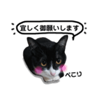 びっけ（個別スタンプ：22）