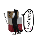 びっけ（個別スタンプ：23）