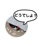 びっけ（個別スタンプ：35）