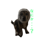豆といっしょ（個別スタンプ：2）
