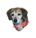 豆といっしょ（個別スタンプ：11）