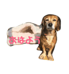 豆といっしょ（個別スタンプ：14）