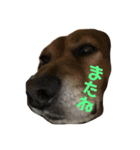 豆といっしょ（個別スタンプ：20）