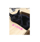 クゥーちゃん（個別スタンプ：7）