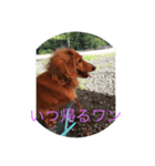 かわいいチャッピー（個別スタンプ：7）