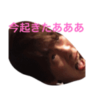 壱寅スタンプ（個別スタンプ：12）