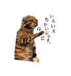 仲良し猫たちの使えるスタンプ（個別スタンプ：8）