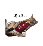 仲良し猫たちの使えるスタンプ（個別スタンプ：10）
