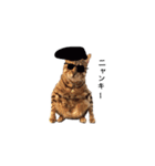 仲良し猫たちの使えるスタンプ（個別スタンプ：29）