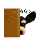 リリ王子と凛々しい仲間たち3（個別スタンプ：26）