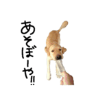 ろくそとじゅんにゃん（個別スタンプ：20）