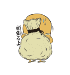 クルクル（個別スタンプ：17）